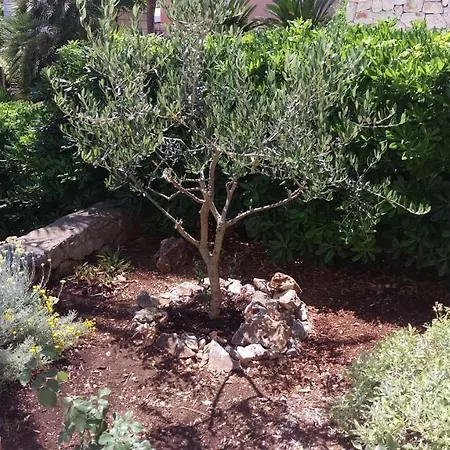 Holiday home Holiday Luci Trogir